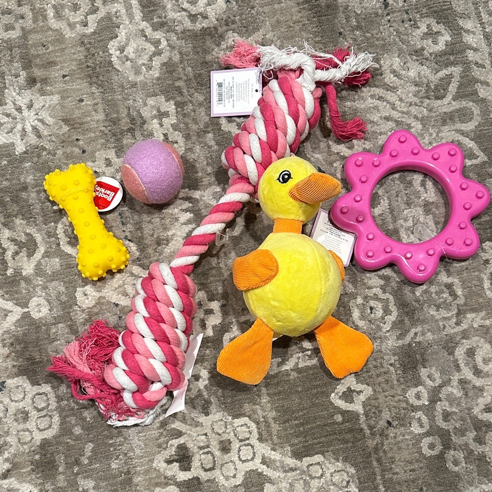 Colorful Pet Toy Set of 5 with Duck and Rope